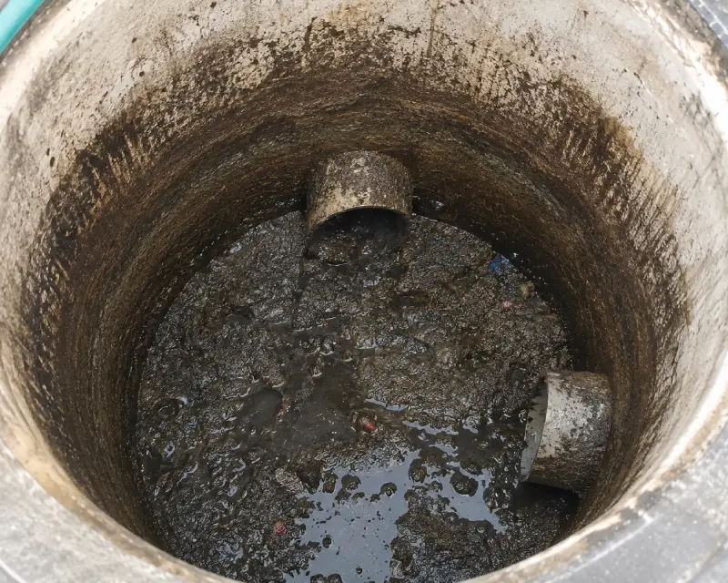 Drain Cleaning Before